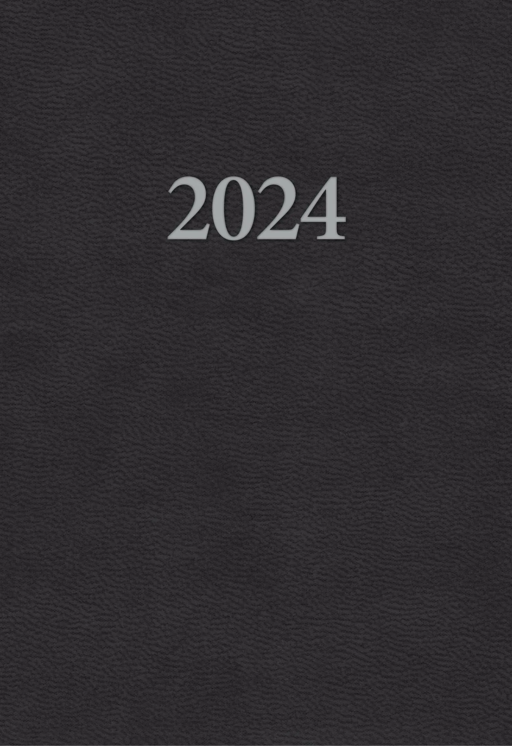 2024 Desk Diary [Book]