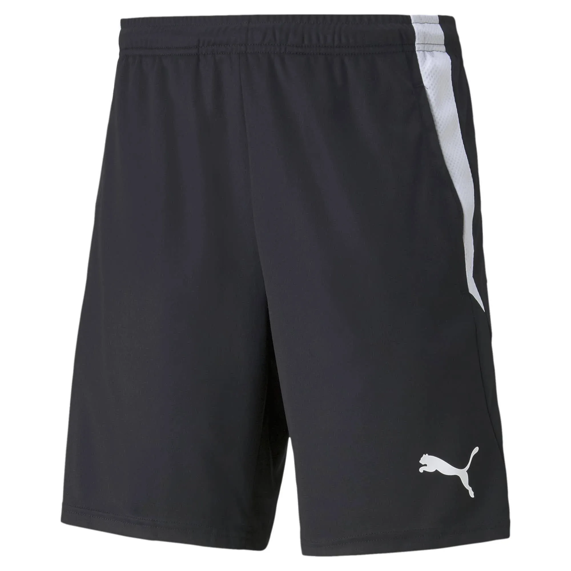 Puma Teamliga Training Men's Soccer Shorts 2, Black/White, S