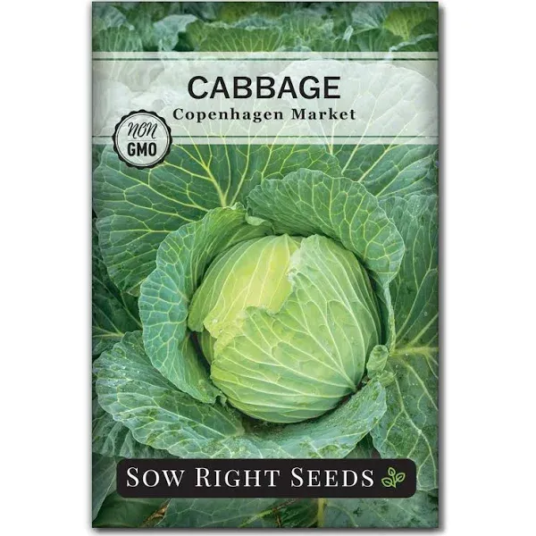 Copenhagen Market Cabbage