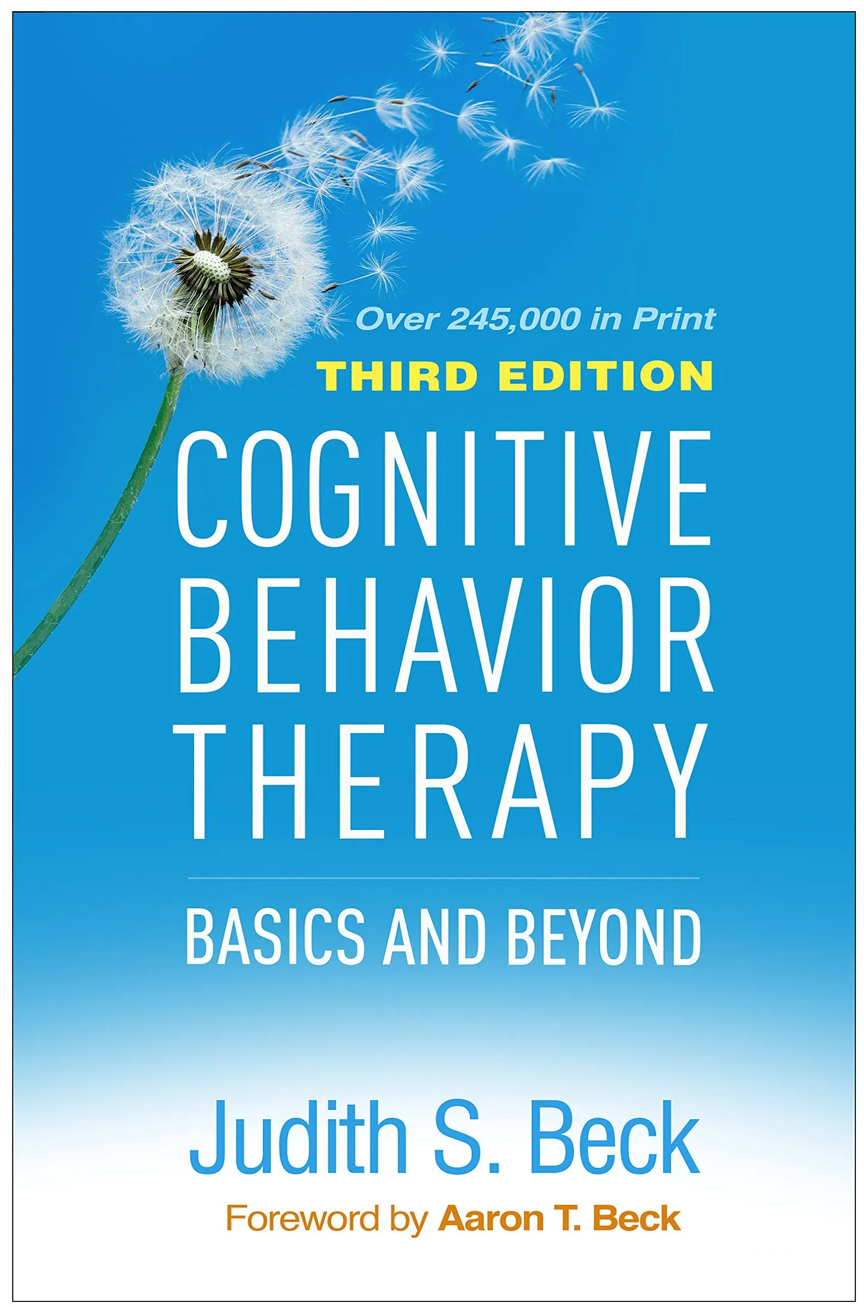 Cognitive Behavior Therapy Basics And Beyond