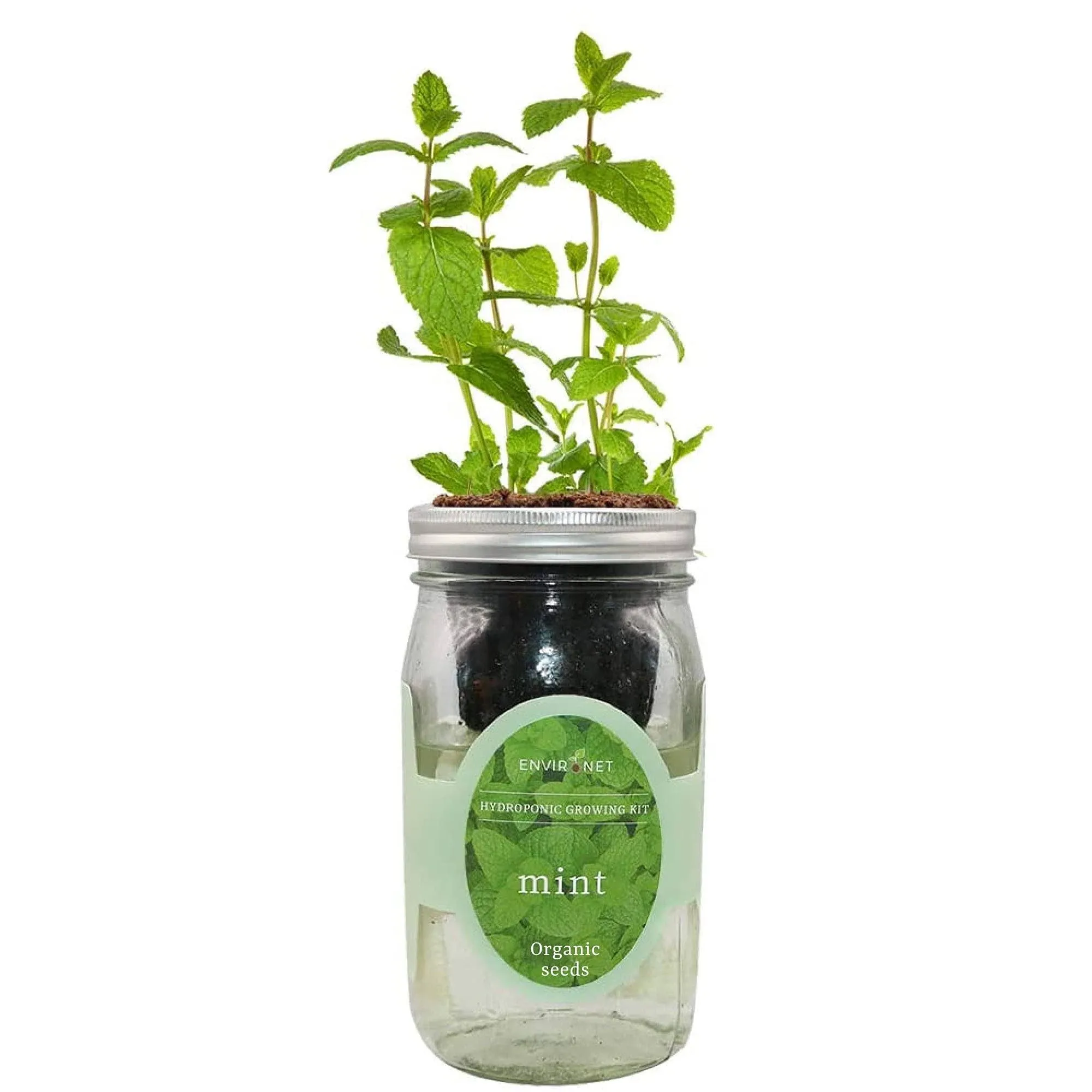 Environet Hydroponic Herb Growing Kit