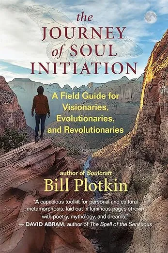 The Journey of Soul Initiation: A Field Guide for Visionaries, Revolutionaries, and Evolutionaries: A Field Guide for Visionaries, Evolutionaries, and Revolutionaries