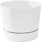 Majestic Low Profile Cylinder Pots, 10½-Inch, White