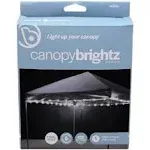 STRING CANOPY TENT LIGHTS White LED Lighting Battery Powered 40-Ft