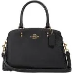 Coach Mini Lillie Carryall